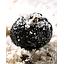 SVART TRYFFELSALT, Naturligt smaksatta saltflingor med 6 % svart tryffel, Tuber melanosporum, bulk kg