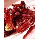 IBISCO ROSSO, fiori secchi, scatola di metallo, cartone da 6 x 300 g