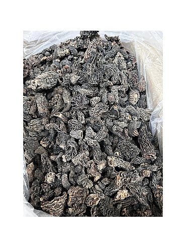 MORELS, industrial quality Grade A, bulk carton kg