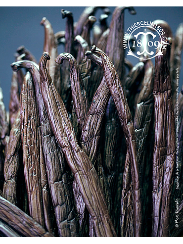 VANILLE DE TAHITI, gousses extra, s/s vide 250 g