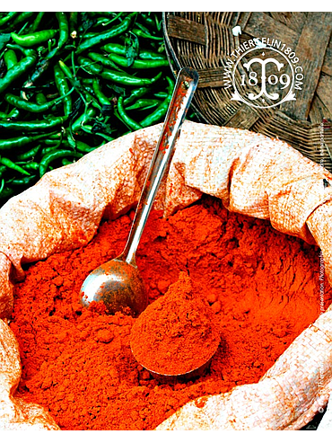 Pimenta vermelha picante em pó, embalagem de 1 kg.