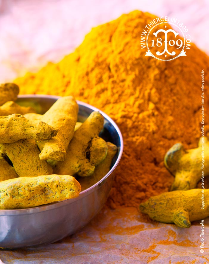 CURCUMA BIO, Poudre, sac 25 kg