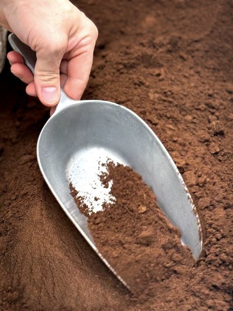 VANILLE BOURBON POUDRE, gousses réduites en poudre, sac vrac