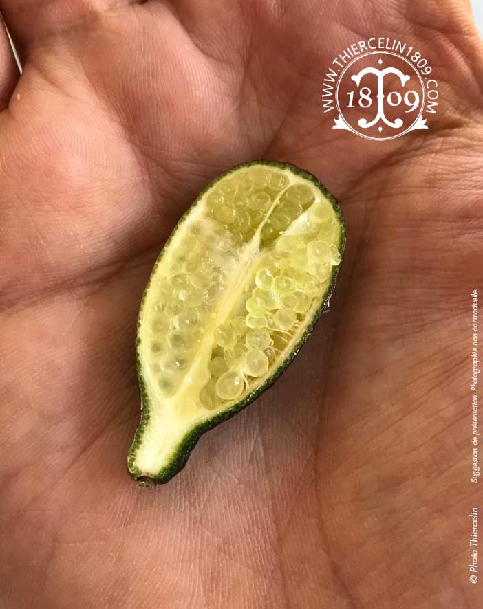 CAVIALE DI LIMONE, fresco intero, vaschetta da 100 g