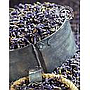 LAVENDEL, gedroogde bloemen, hersluitbare vershoudzak 130 g